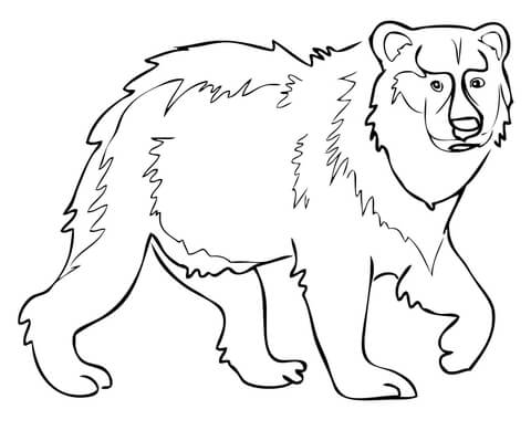 Eurasian Brown Bear Coloring Page